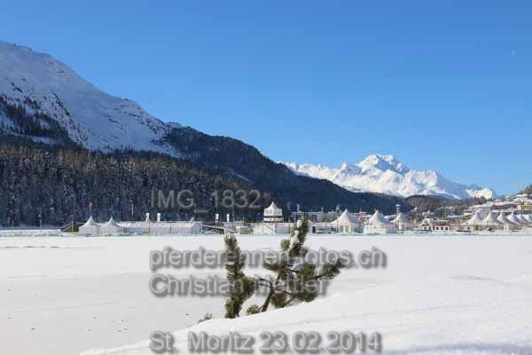 IMG 1832 prot